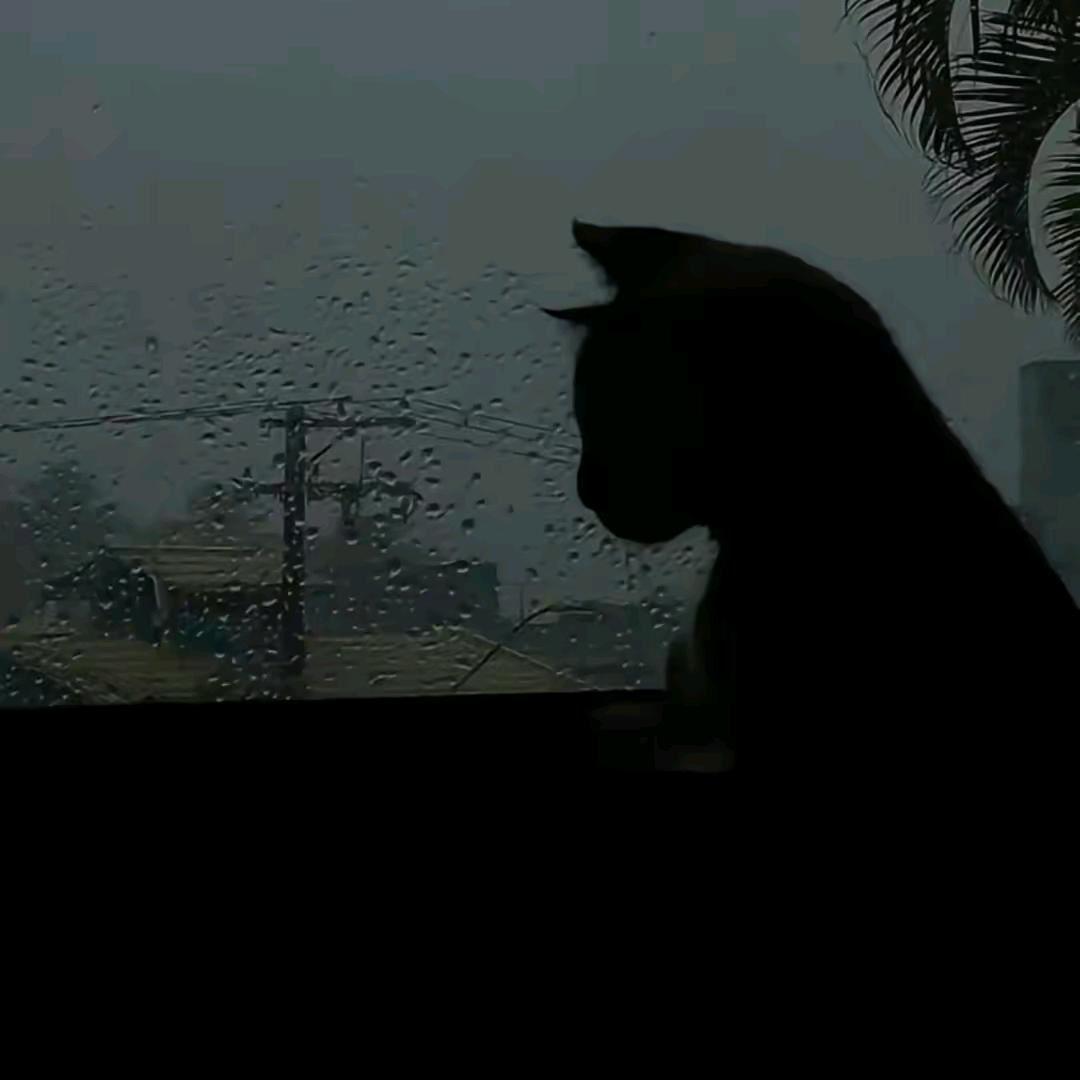 一个无聊的路人