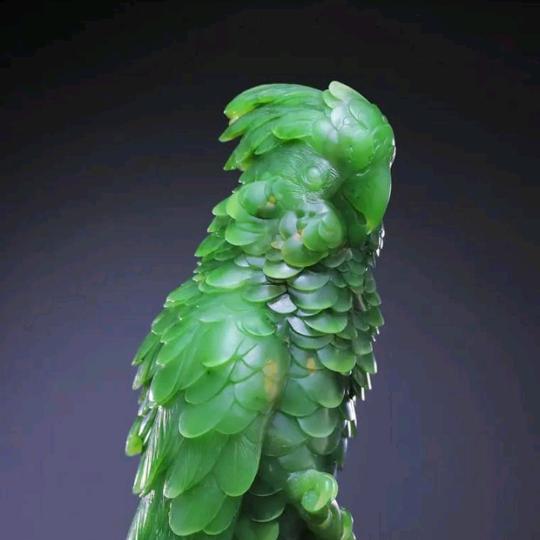 用户3198484223706