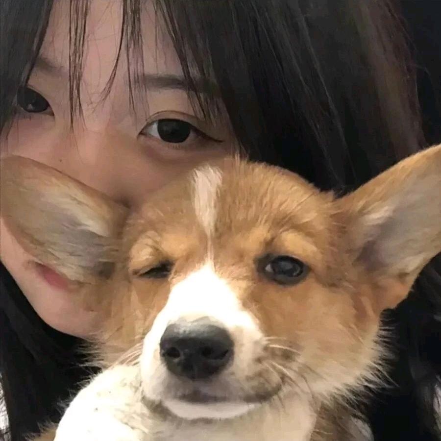 岛莓熊