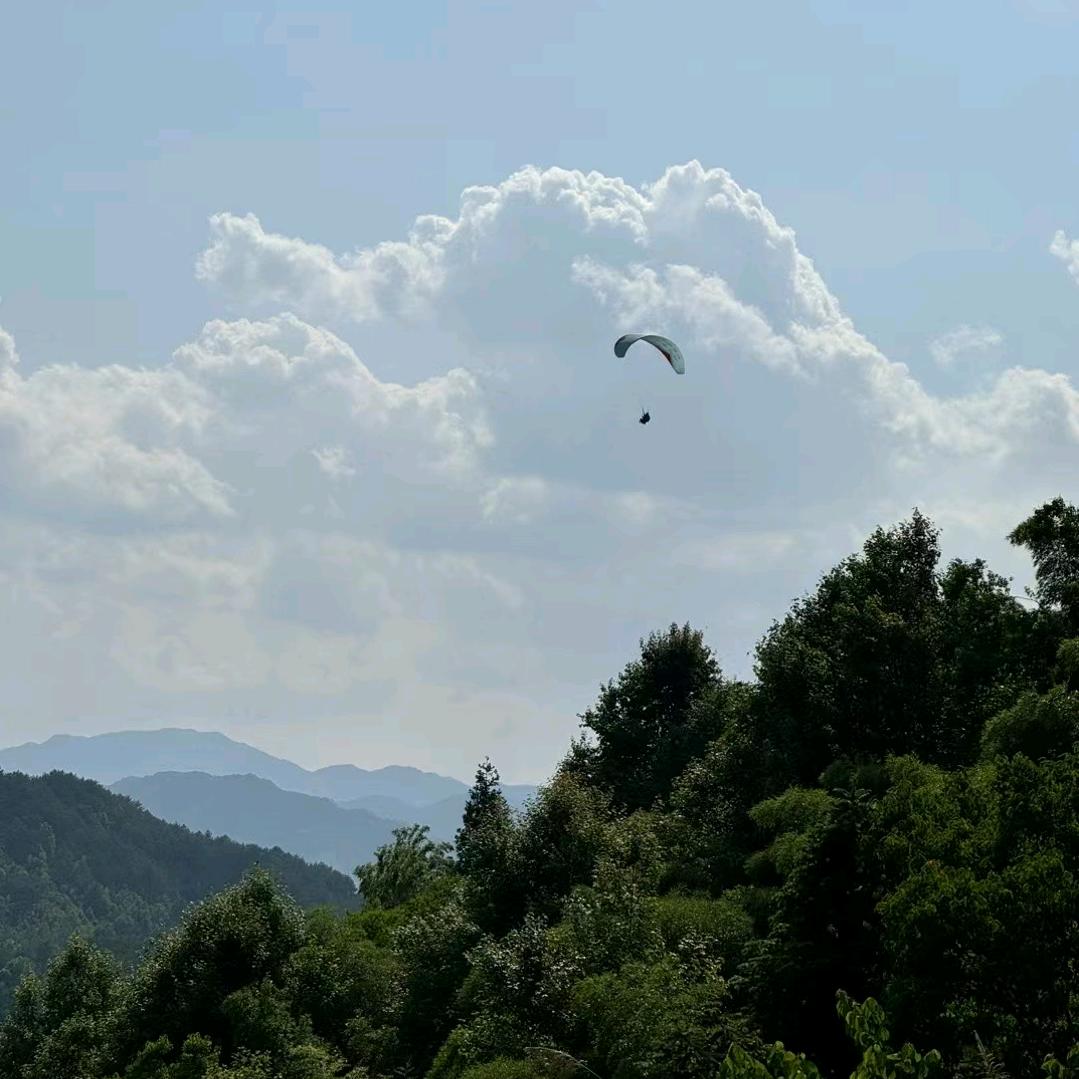 小万果贸商行