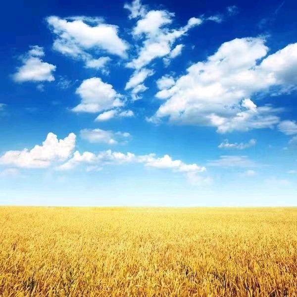 悬壶济世，纯中药特效药调理。立竿见影！