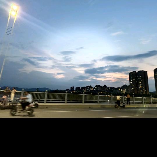 花落哥