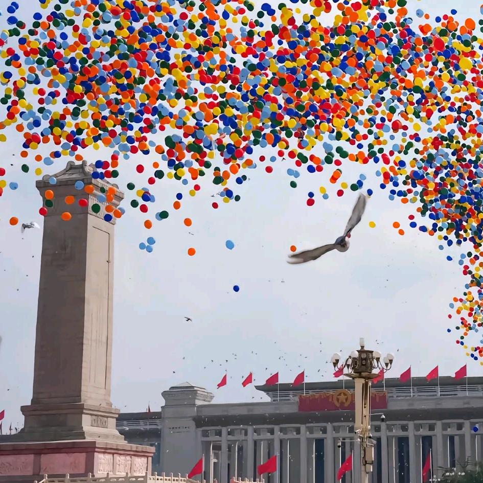 🌼ζ᭄玻璃渣里♔找糖吃᨞᭄ﻬ