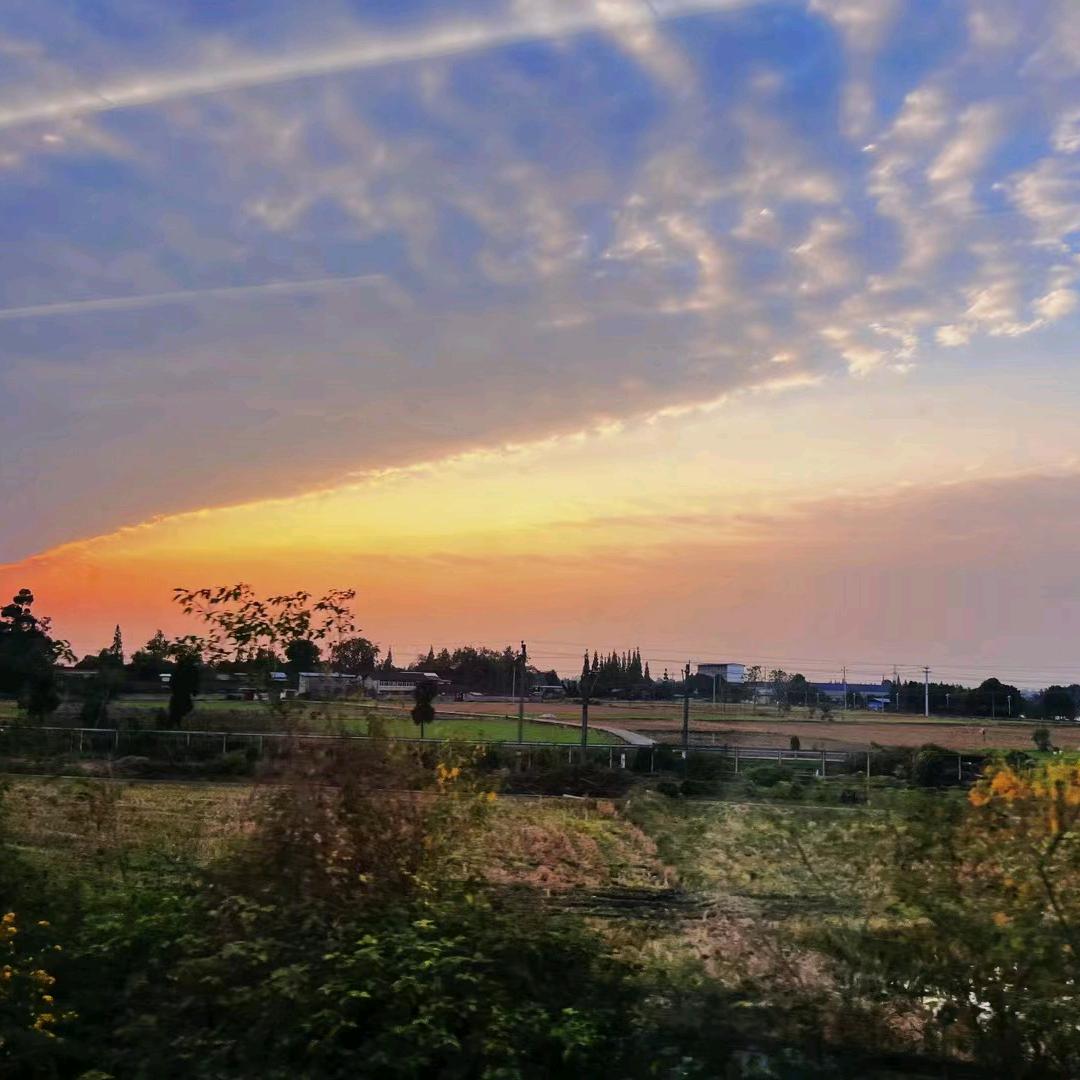 四夕（新疆阿克苏冰糖心）