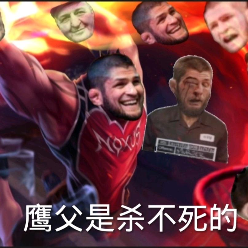 小🐥哈头像