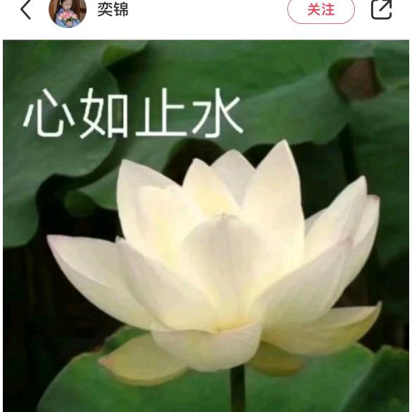 369与你同行