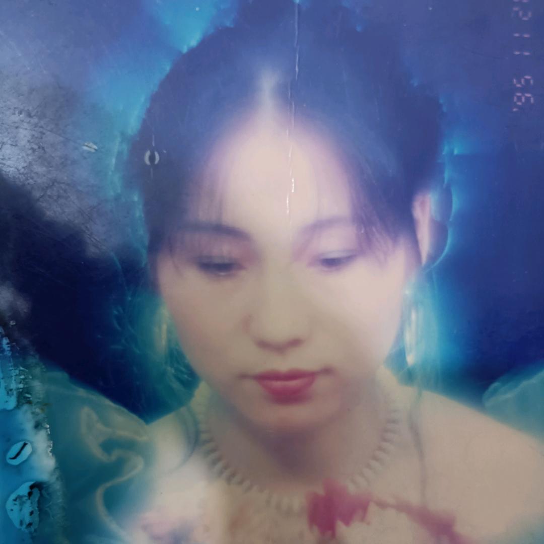 杨海凤