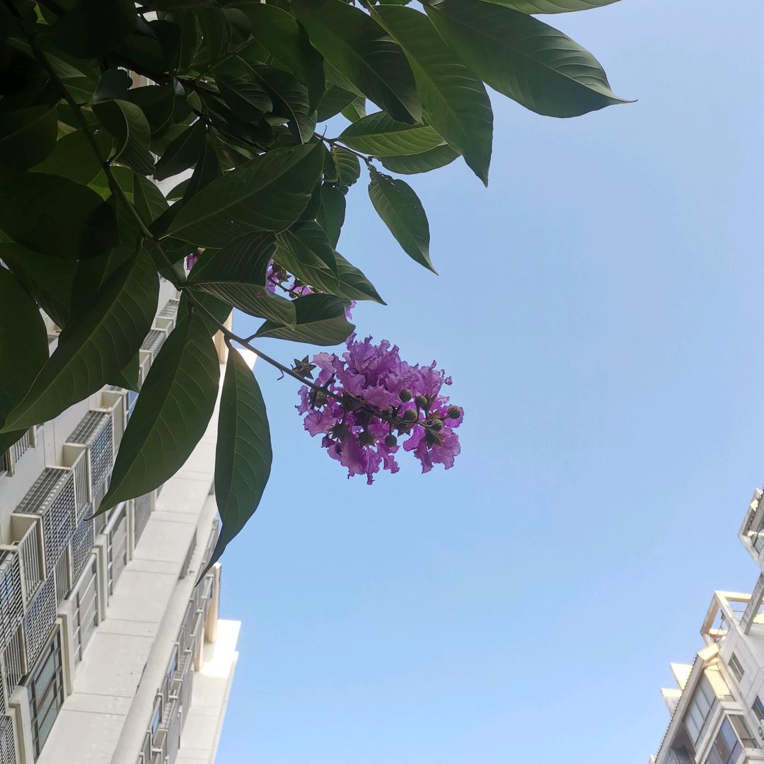 漳州港小黄家