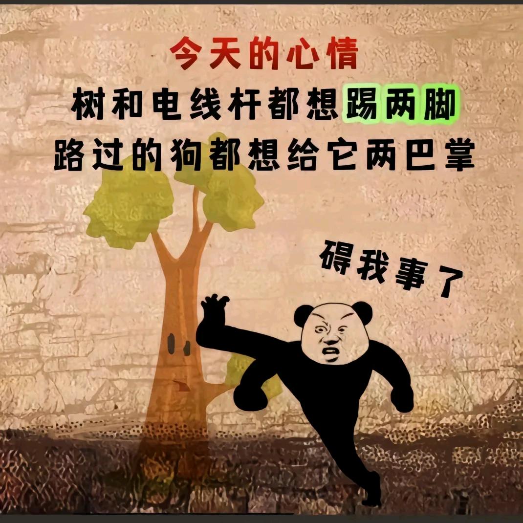 ……………………………