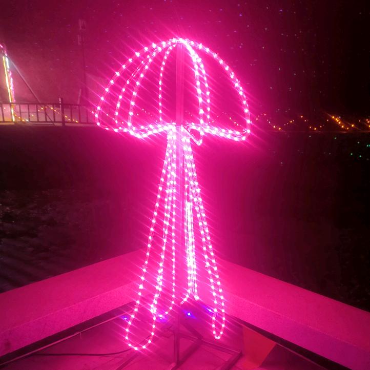 三寸旧城七寸执念