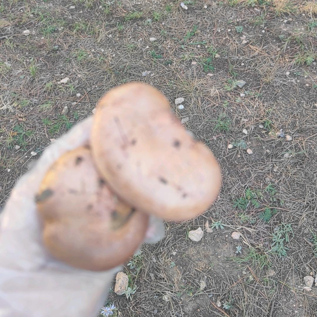 命中注定