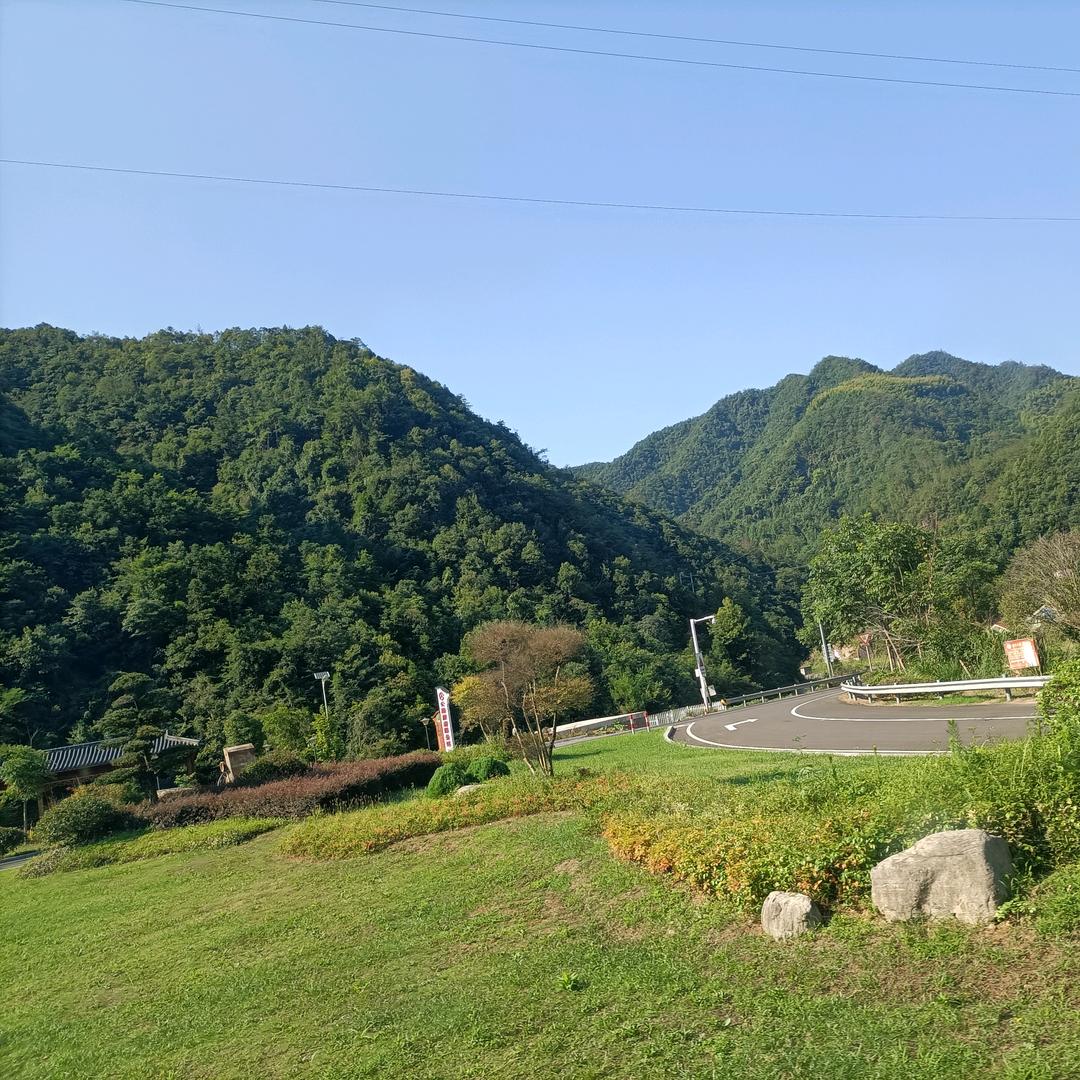 走来