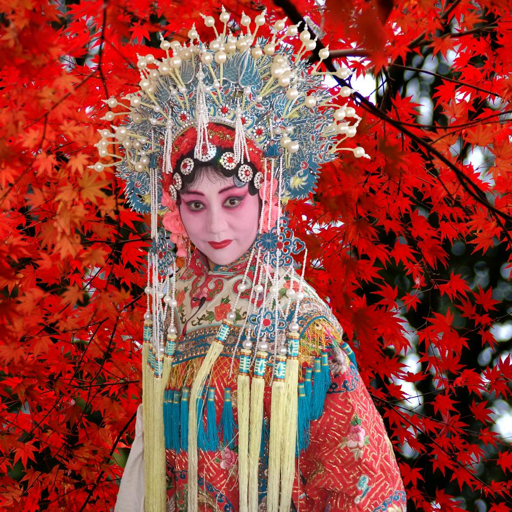 河南小皇后豫剧团杨素花
