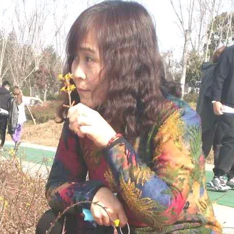 曹董事妹