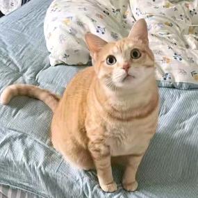 再敬往事一杯酒