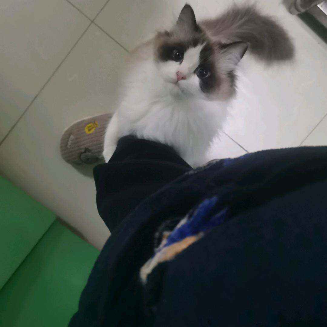 西香老哥～