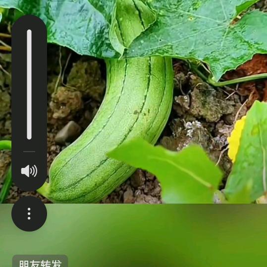 WWy，龙湾