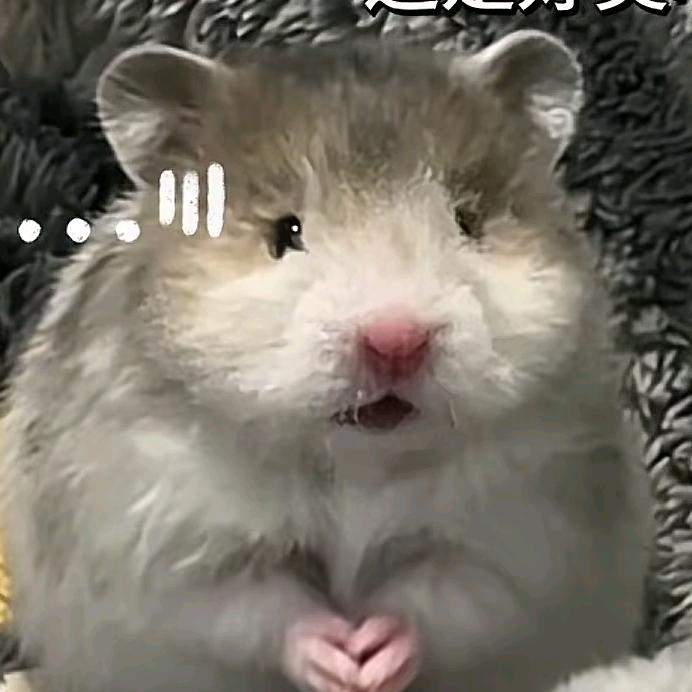 萌萌萌