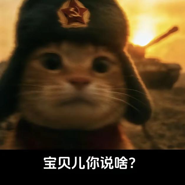 与你每次错过