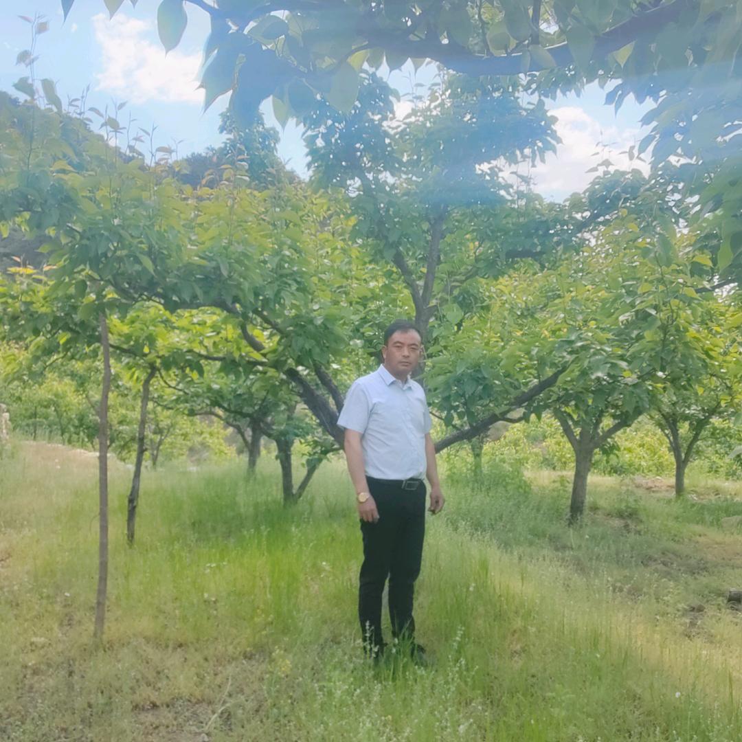 軍 哥 （承蒙厚爱）