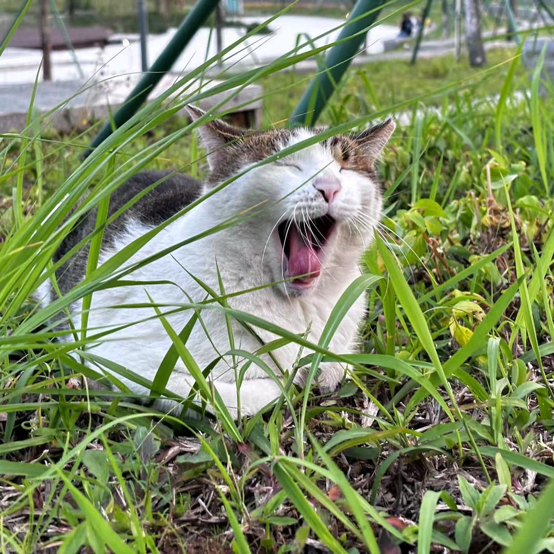 豆鲨包⁰⃚⃙̴༝ ⁰⃚⃙̴