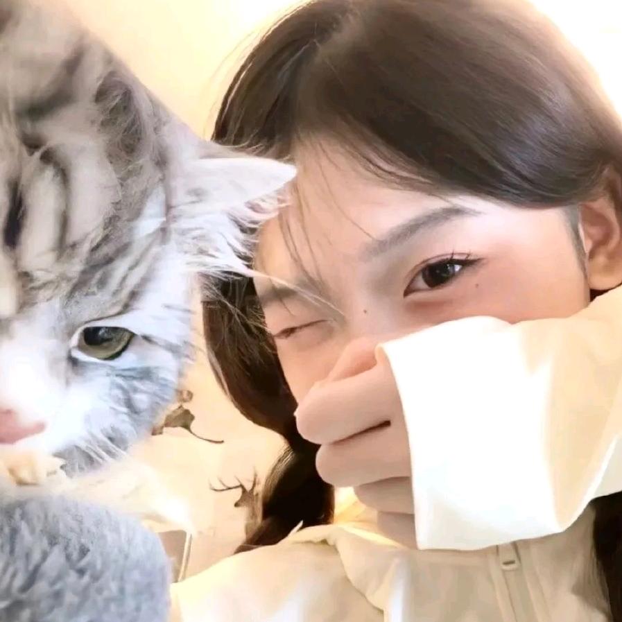 小猫不想乖