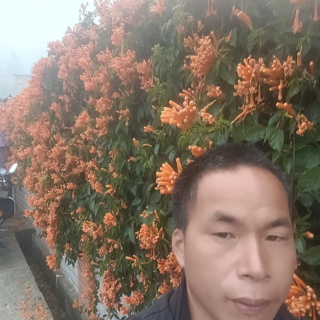 揭西辉哥（惠家团）