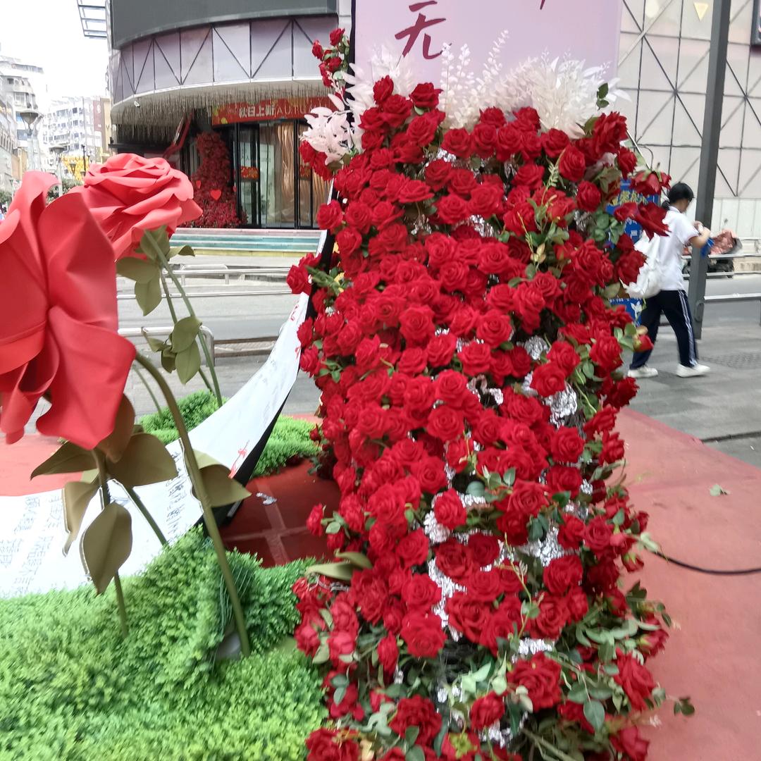 冷暖相知