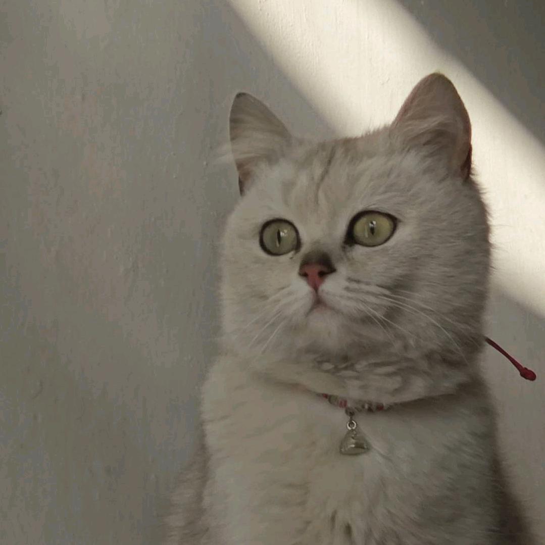 👻