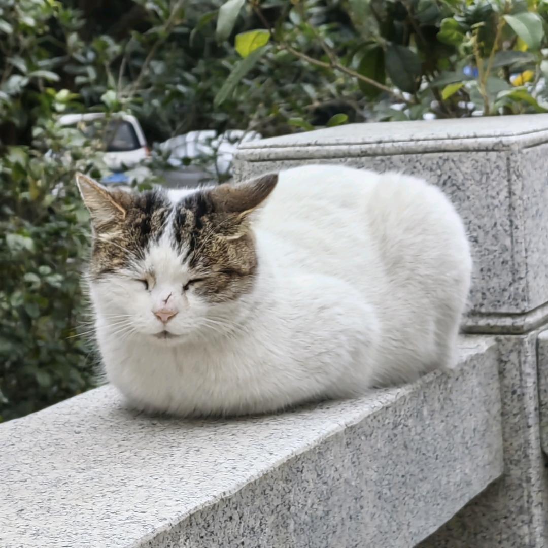 该用户不想起名字