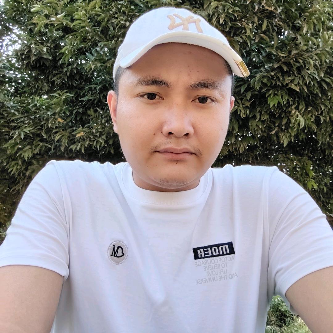 顺飞