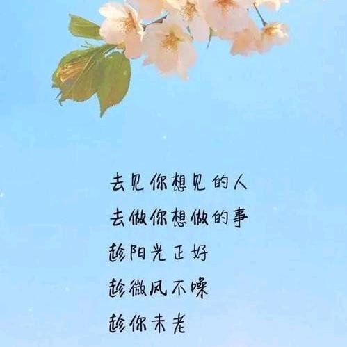 自己认可自己