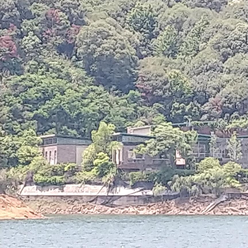 笑看今朝