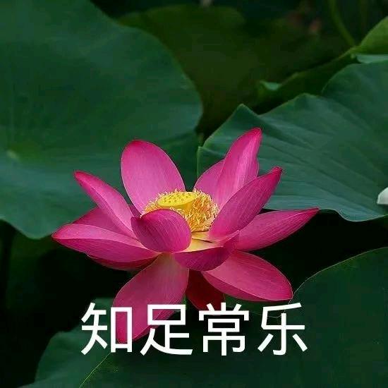 杨奶奶👵