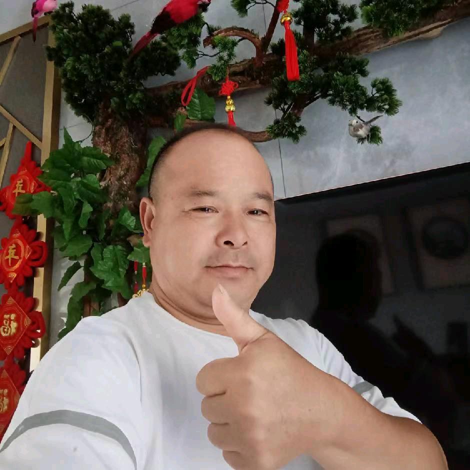 山桐子波波熊