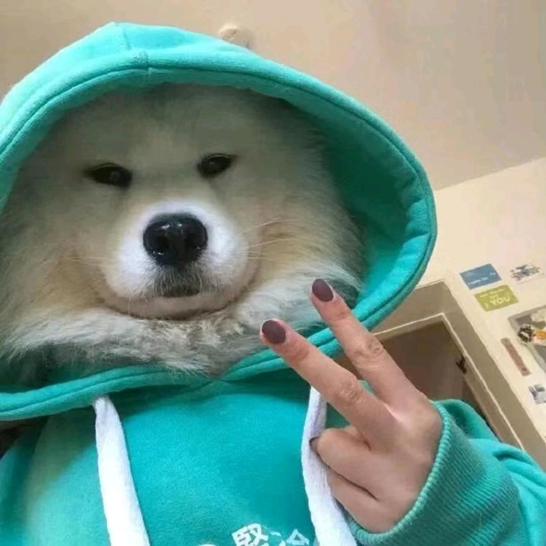 伍莱伊