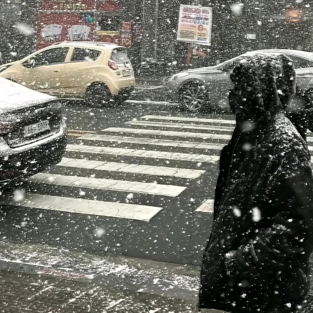 等雪临等你归