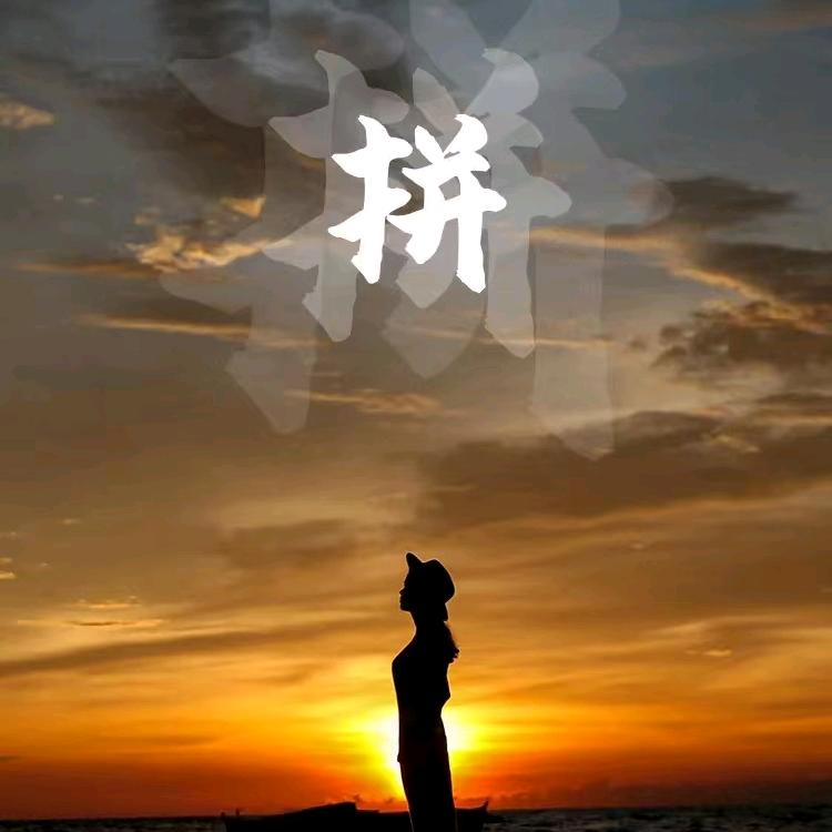 国际国内快递搬运工