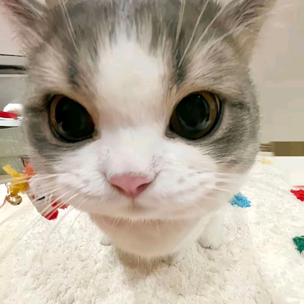 绝版的昨天