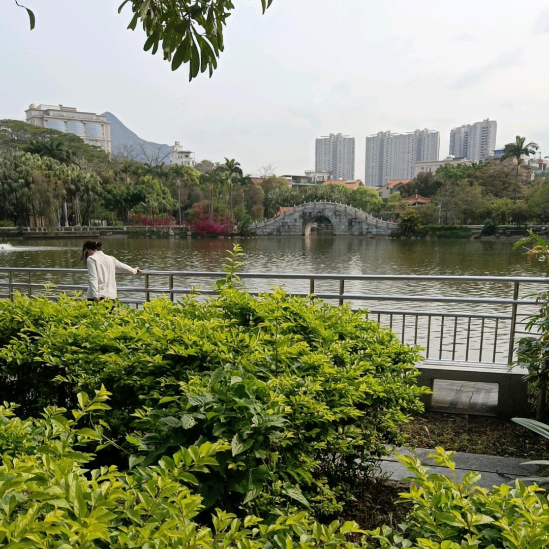 人间正道