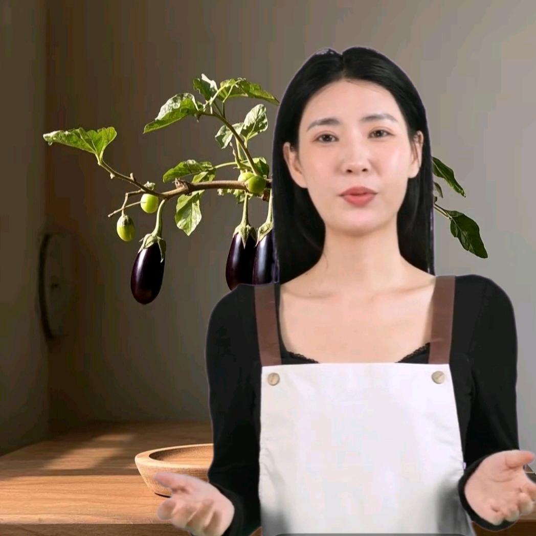 小小餐桌《家常菜》