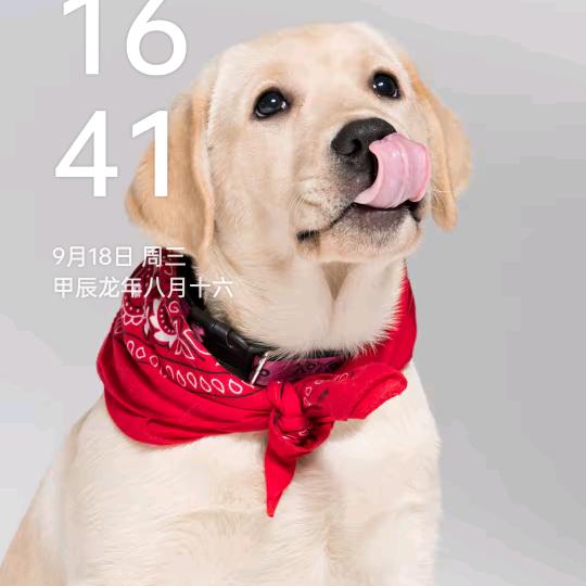 吃瓜群众