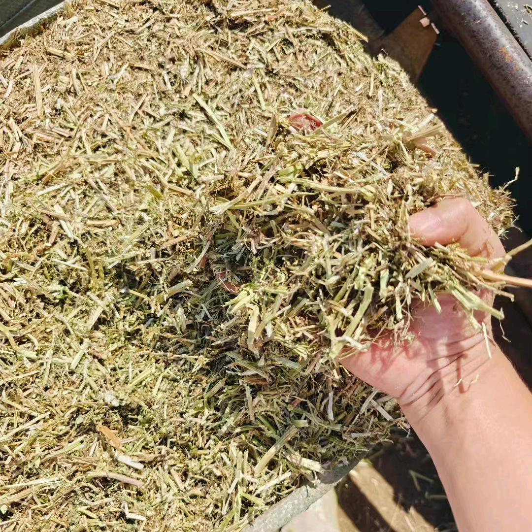 牛羊草料专供🌿源头厂家