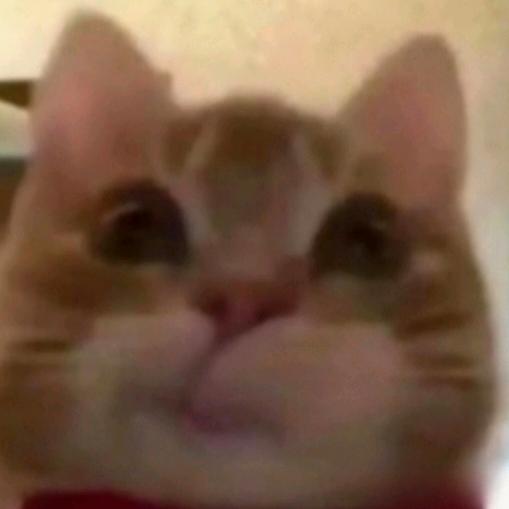 枫秀