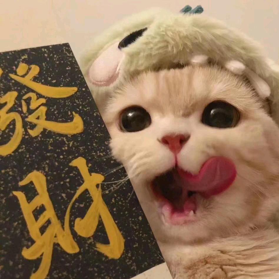 风