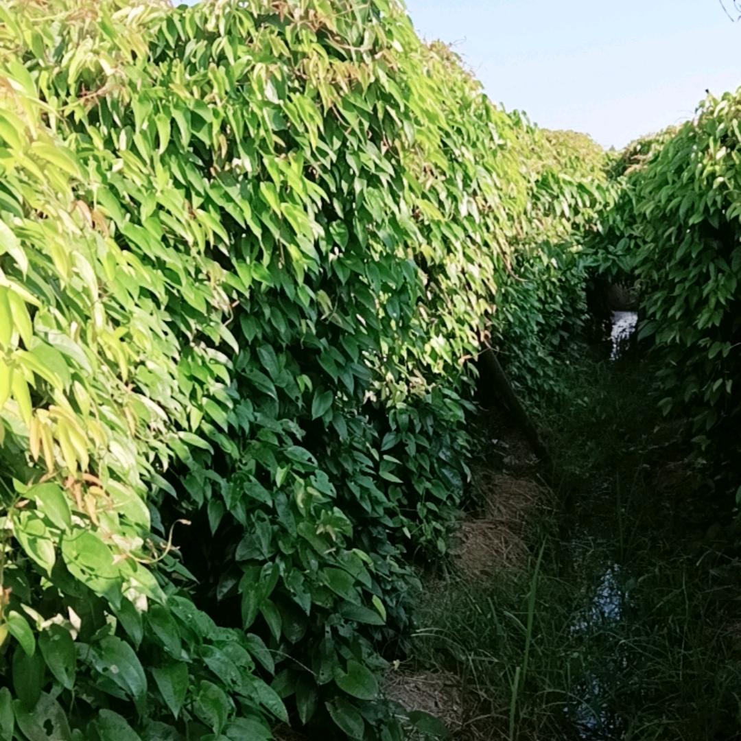 天生我来自有用