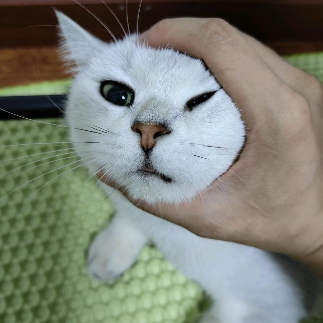 灰灰点了然后呢