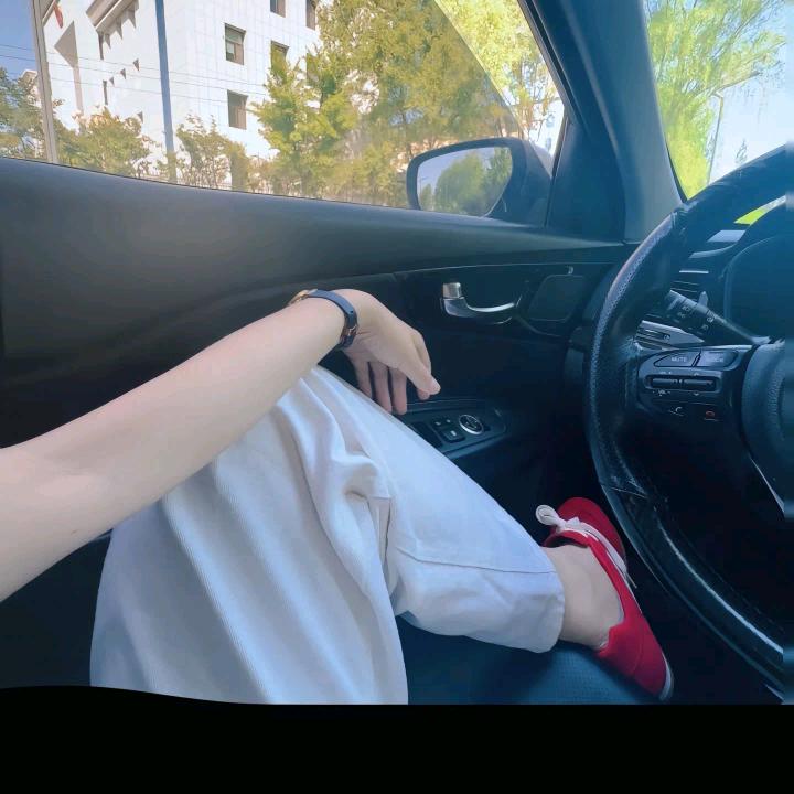 梧桐