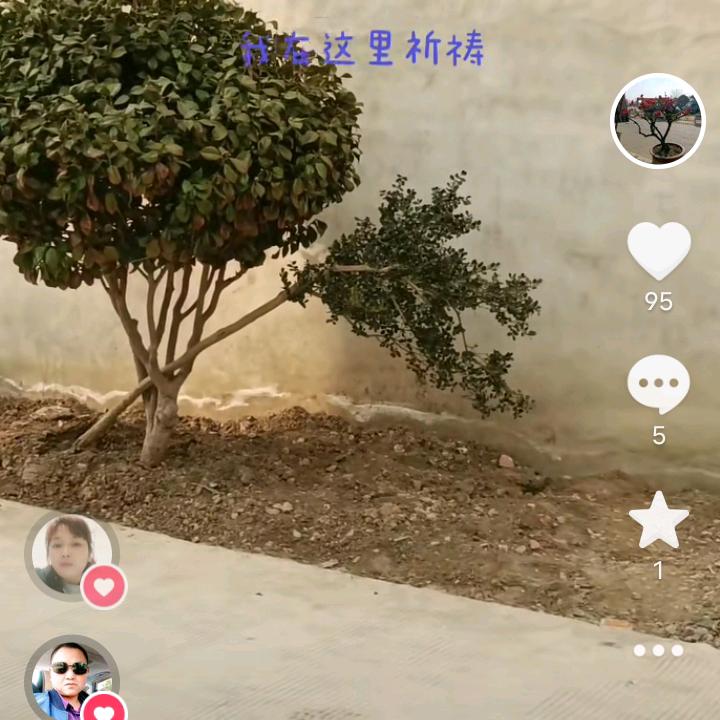 一场秋雨一次寒