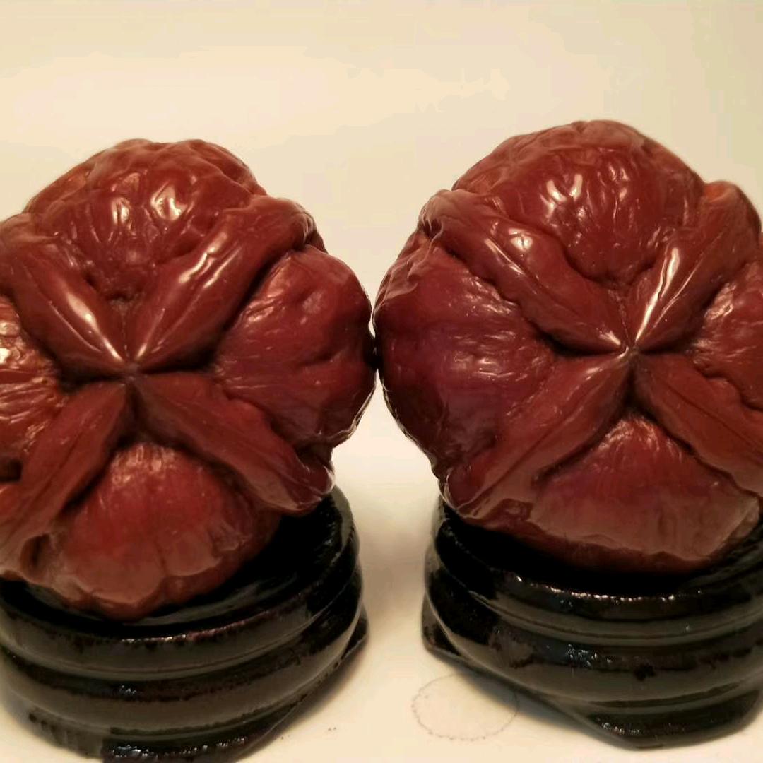 核脉传承